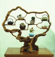 陽(yáng)泉市石建華根式木業(yè)