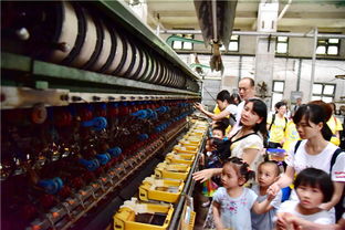 帶孩子去玩不如帶孩子去做手工,佛山南海絲廠蠶寶時光成遛娃樂園