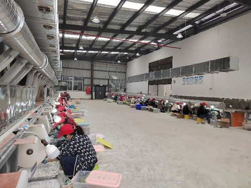 高縣文江鎮虹光角雕工藝品廠 在勝利村集體產業園開啟文化藝術品新篇章